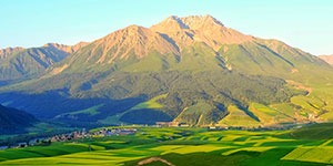甘肅建投生態(tài)建設(shè)集團(tuán)有限公司隸屬于中國(guó)500強(qiáng)企業(yè)—甘肅省建設(shè)投資（控股）集團(tuán)有限公司，是甘肅建投貫徹落實(shí)“五位一體”總體布局和新發(fā)展理念，推進(jìn)生態(tài)治理板塊發(fā)展的新業(yè)態(tài)公司。